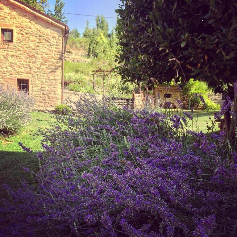 Ca' Maranghi Holiday House Palazzuolo Sul Senio Bagian luar foto