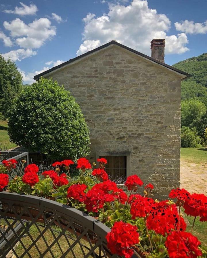 Ca' Maranghi Holiday House Palazzuolo Sul Senio Bagian luar foto