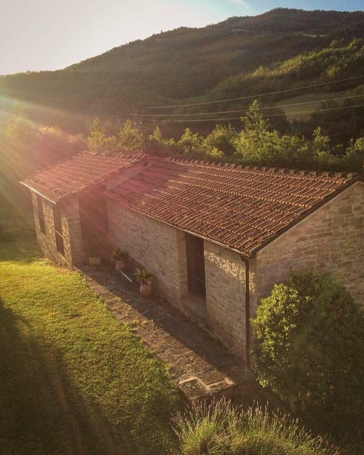 Ca' Maranghi Holiday House Palazzuolo Sul Senio Bagian luar foto